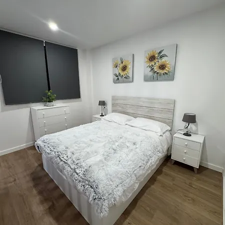 Roomy Estudio *