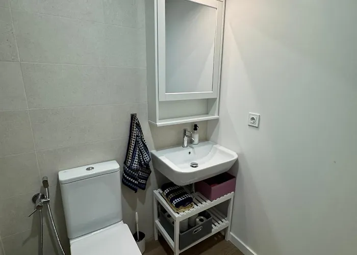 Roomy Estudio Jerez de la Frontera